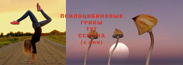 дурь Киренск