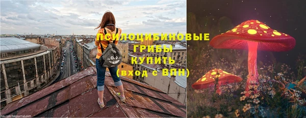 ГАЛЛЮЦИНОГЕННЫЕ ГРИБЫ Кодинск